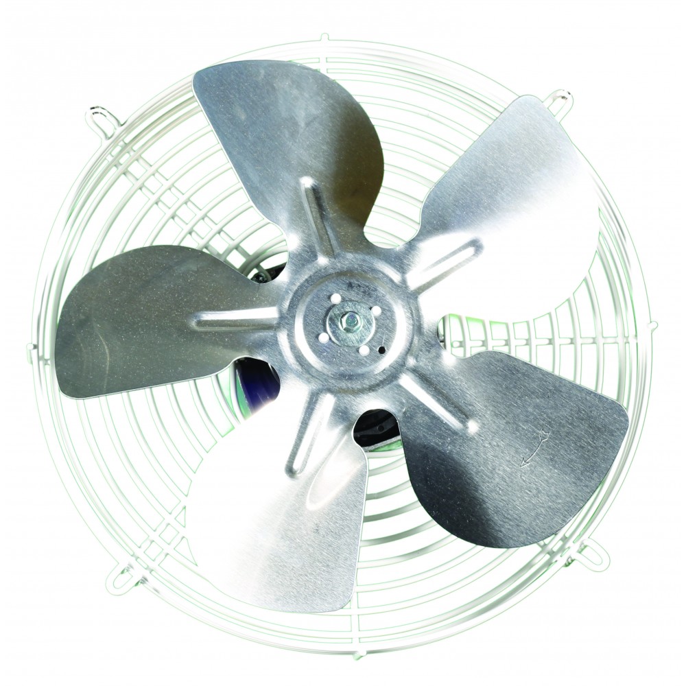 Fan motor for Roller FHV x0x Models 250mm  S2 EC 250 - Image 2