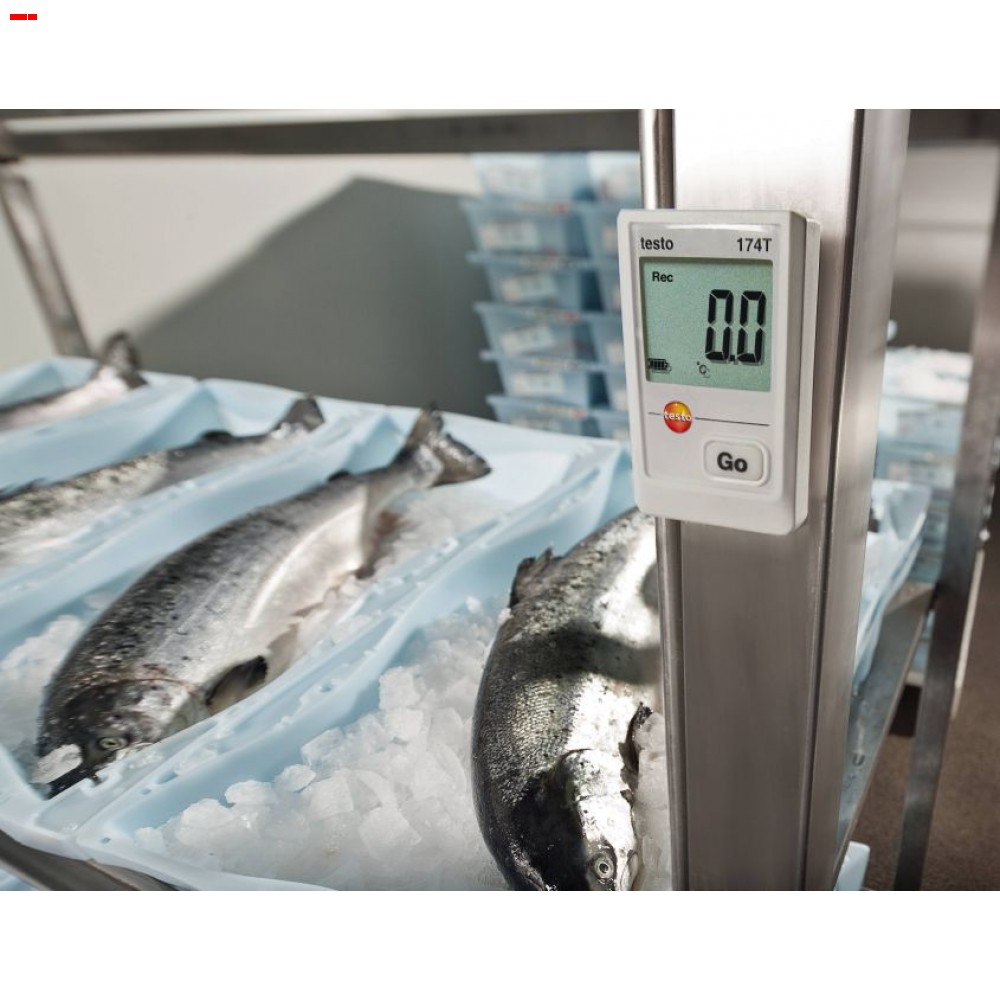 Testo 174T - Mini Data Logger - Image 2