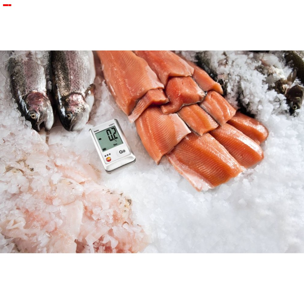 Testo 174T - Mini Data Logger - Image 4